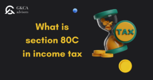 section 80C in income tax